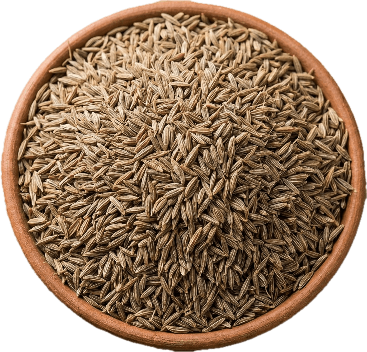 Jeera (Cumin-Seeds)